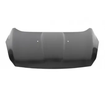 Capot-moteur BLIC 6803-00-2579280P