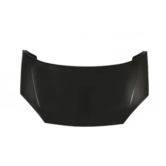 Capot-moteur BLIC 6803-00-2582281P
