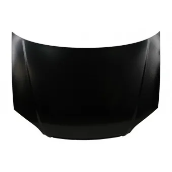 Capot-moteur BLIC 6803-00-2938280P