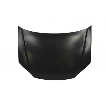 Capot-moteur BLIC 6803-00-2938282P