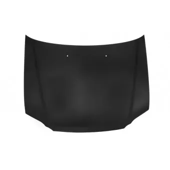 Capot-moteur BLIC 6803-00-2955281P