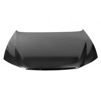 Capot-moteur BLIC 6803-00-3169280P