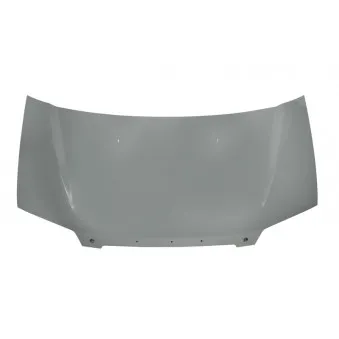 Capot-moteur BLIC 6803-00-3191280P