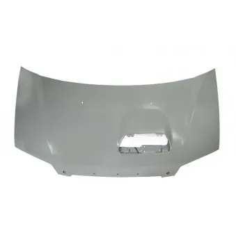 Capot-moteur BLIC 6803-00-3191281P