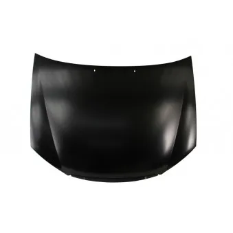 Capot-moteur BLIC 6803-00-3278280P