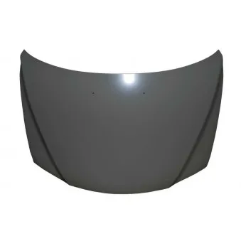 Capot-moteur BLIC 6803-00-3451280P