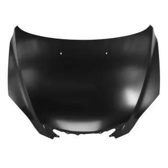 Capot-moteur BLIC 6803-00-3476281P