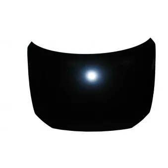 Capot-moteur BLIC 6803-00-3719281P