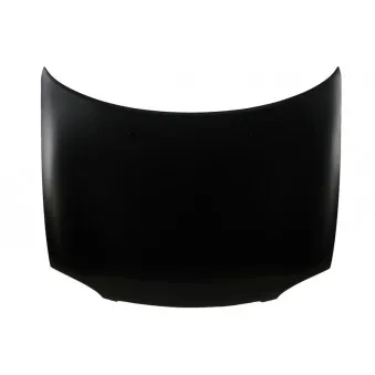 Capot-moteur BLIC 6803-00-5022280P