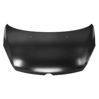 Capot-moteur BLIC 6803-00-5033280P