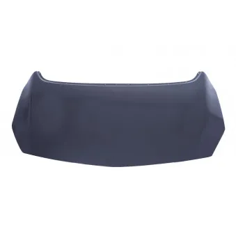 Capot-moteur BLIC 6803-00-5053280Q