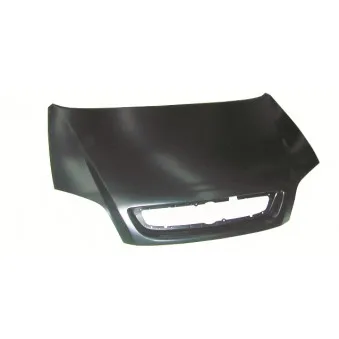 Capot-moteur BLIC 6803-00-5062280Q