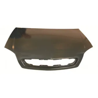 Capot-moteur BLIC 6803-00-5078280P