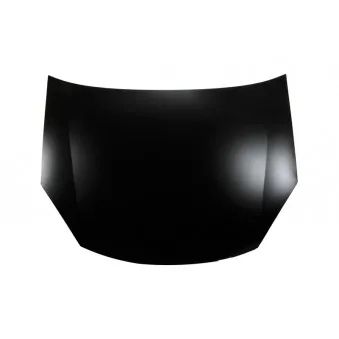 Capot-moteur BLIC 6803-00-5078281P