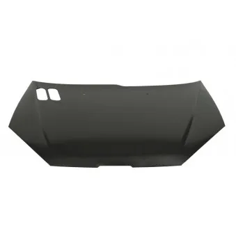 Capot-moteur BLIC 6803-00-5507280Q