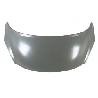 Capot-moteur BLIC 6803-00-5508280P