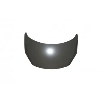 Capot-moteur BLIC 6803-00-5514281P