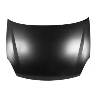 Capot-moteur BLIC 6803-00-6030280P
