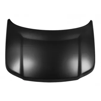 Capot-moteur BLIC 6803-00-6425280P