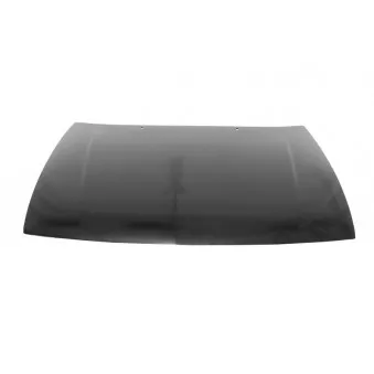 Capot-moteur BLIC 6803-00-6607280P