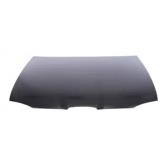 Capot-moteur BLIC 6803-00-6608280P