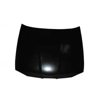 Capot-moteur BLIC 6803-00-6608280Q