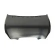 Capot-moteur BLIC 6803-00-6613280P - Visuel 2