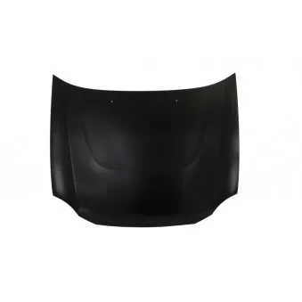 Capot-moteur BLIC 6803-00-6731280P