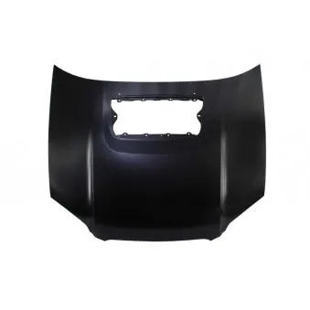 Capot-moteur BLIC 6803-00-6732281P