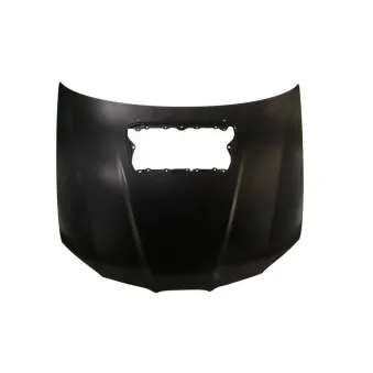 Capot-moteur BLIC 6803-00-6733281P
