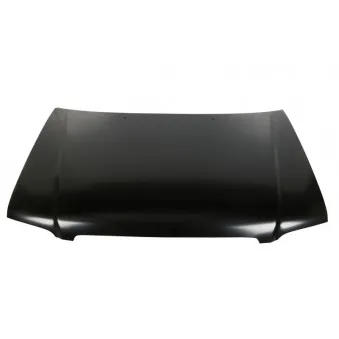 Capot-moteur BLIC 6803-00-6739283P