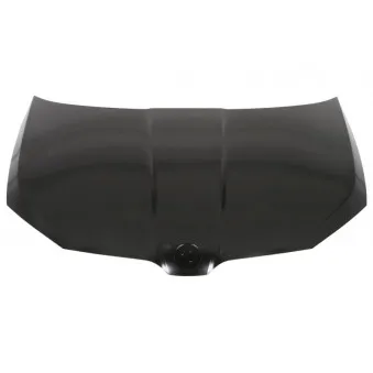Capot-moteur BLIC 6803-00-7517280P