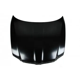 Capot-moteur BLIC