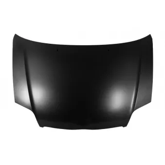Capot-moteur arrière droit BLIC 6803-00-8116281P