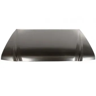Capot-moteur BLIC 6803-00-8125280P