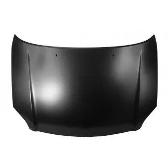 Capot-moteur BLIC 6803-00-8161283P