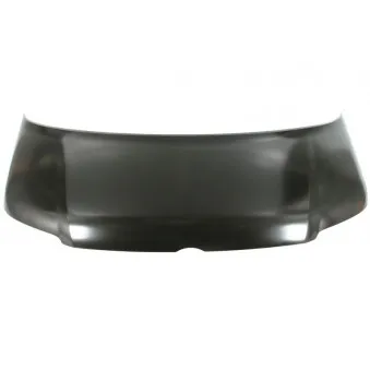 Pare-chocs BLIC 6803-00-9568280Q