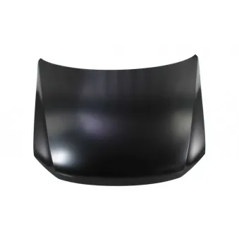 Capot-moteur BLIC 6803-00-9595280P