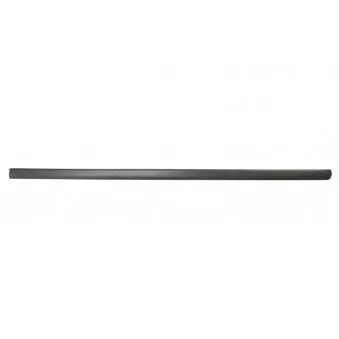 Baguette et bande protectrice, aile avant droit BLIC 9999-43-003442P