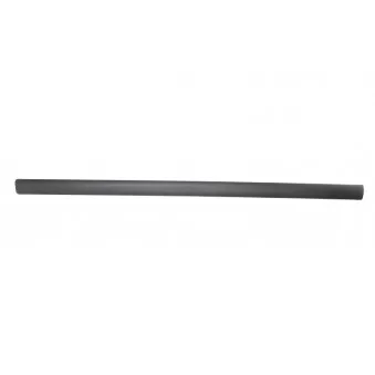 Baguette et bande protectrice, aile avant gauche BLIC 9999-43-006441P