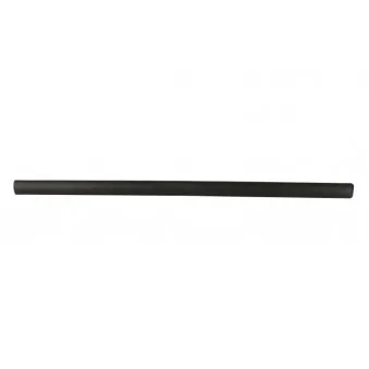 Baguette et bande protectrice, aile avant droit BLIC 9999-43-006442P