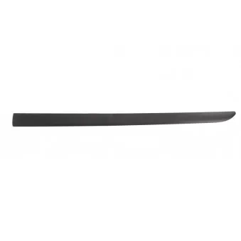 Baguette et bande protectrice, aile avant gauche BLIC 9999-43-007451P
