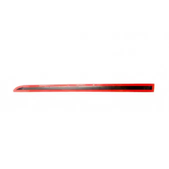 Baguette et bande protectrice, aile avant droit BLIC 9999-43-007452P