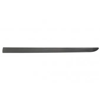 Baguette et bande protectrice, aile avant gauche BLIC 9999-43-008441P