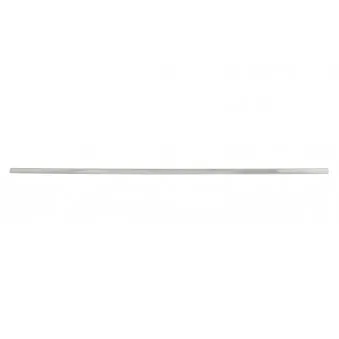 Baguette et bande protectrice, aile avant droit BLIC 9999-43-009442P