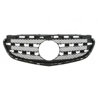 Grille de radiateur BLIC 5601-00-3529993P