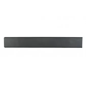 Baguette et bande protectrice, aile avant droit BLIC 5703-04-2097578P