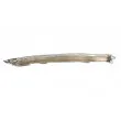 Baguette et bande protectrice, pare-chocs avant droit BLIC 5703-05-3222922P - Visuel 2