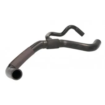 Durite de radiateur THERMOTEC DCG069TT
