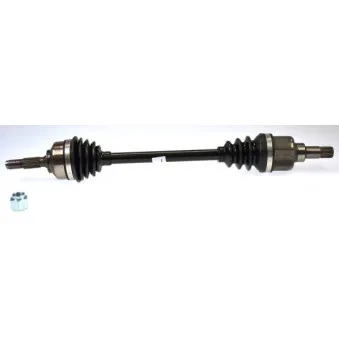 Arbre de transmission SPIDAN 24256